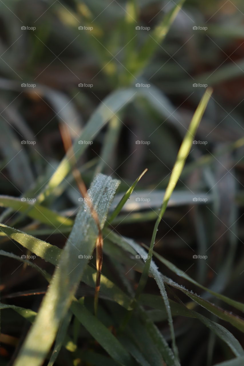 Sometimes you need to take a closer look at a daily object.