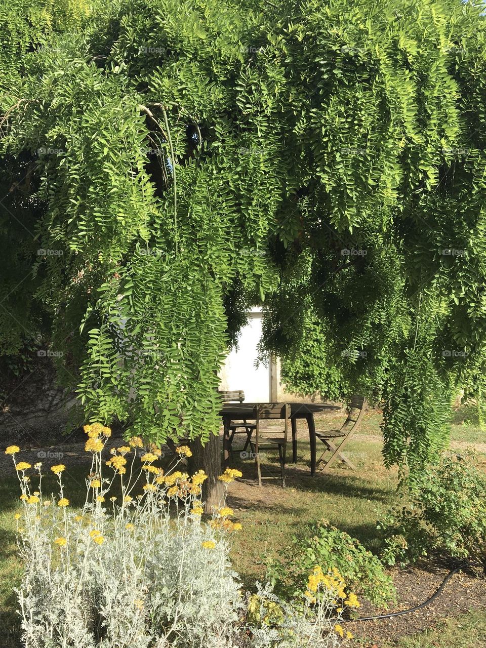 Under the tree at garden