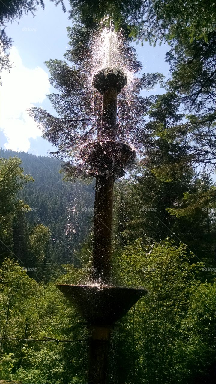 Fountain in the woods