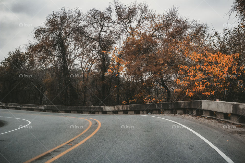 Autumn Road