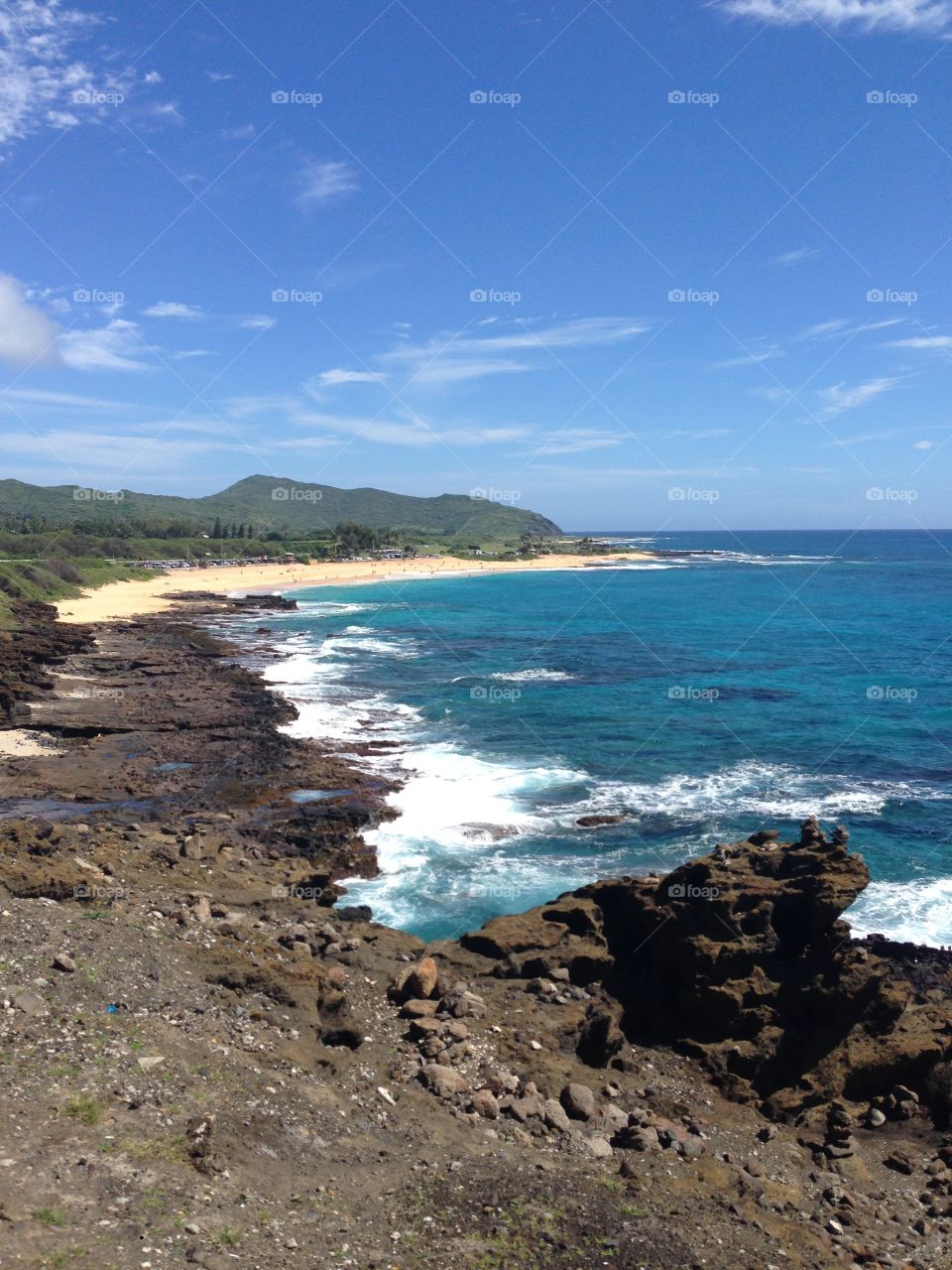 Hawaiian Ocean Side 