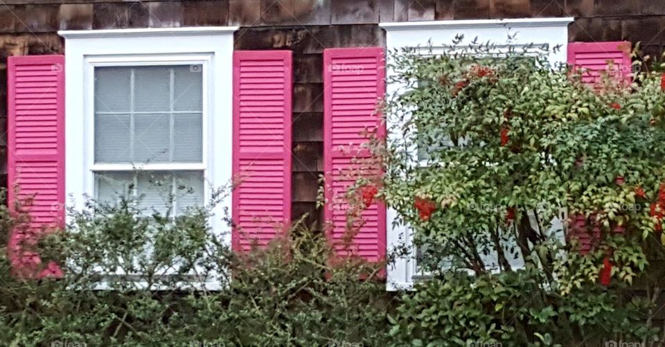 The Pink Shutters