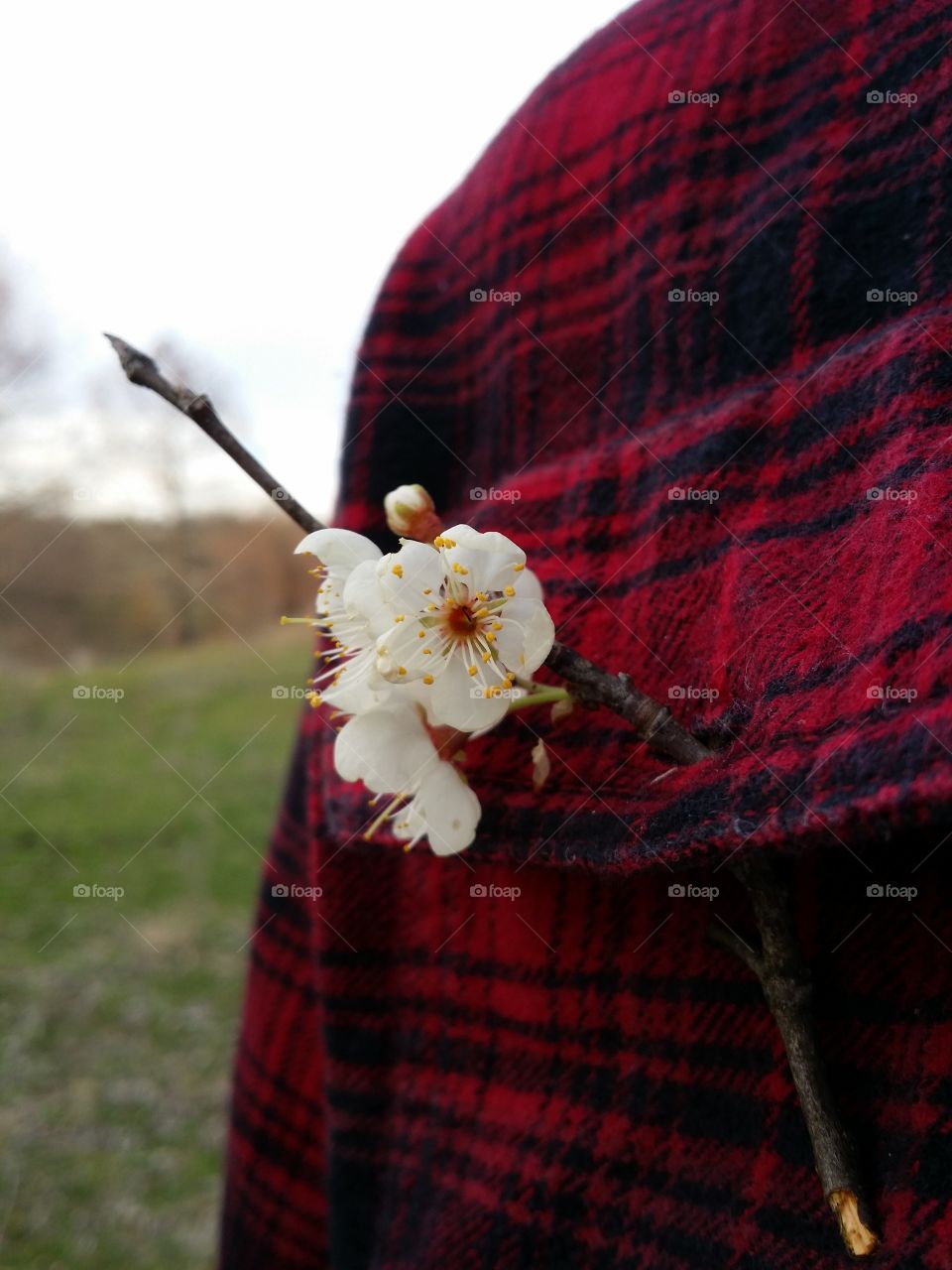 Close-up of flower in textile