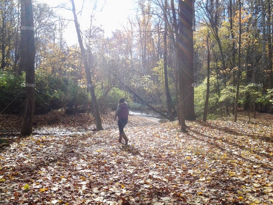 Walking in the woods