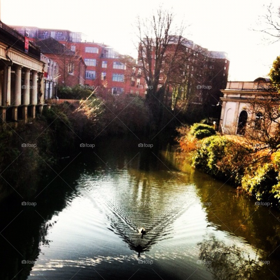 nature pretty england park by Zita