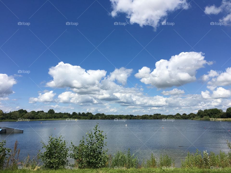 Looking out over the lake with ducks and swans, Cotswolds, UK