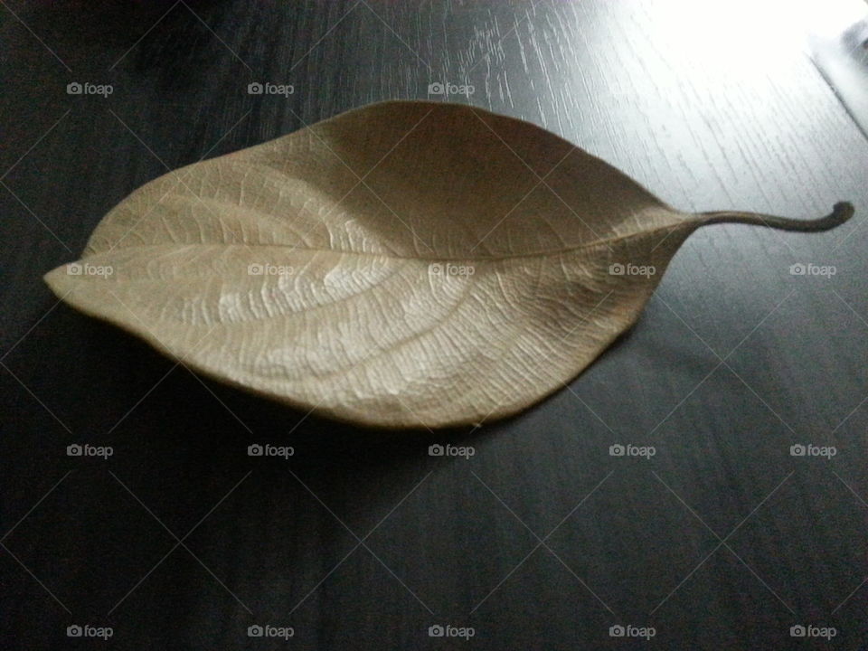dry leaves