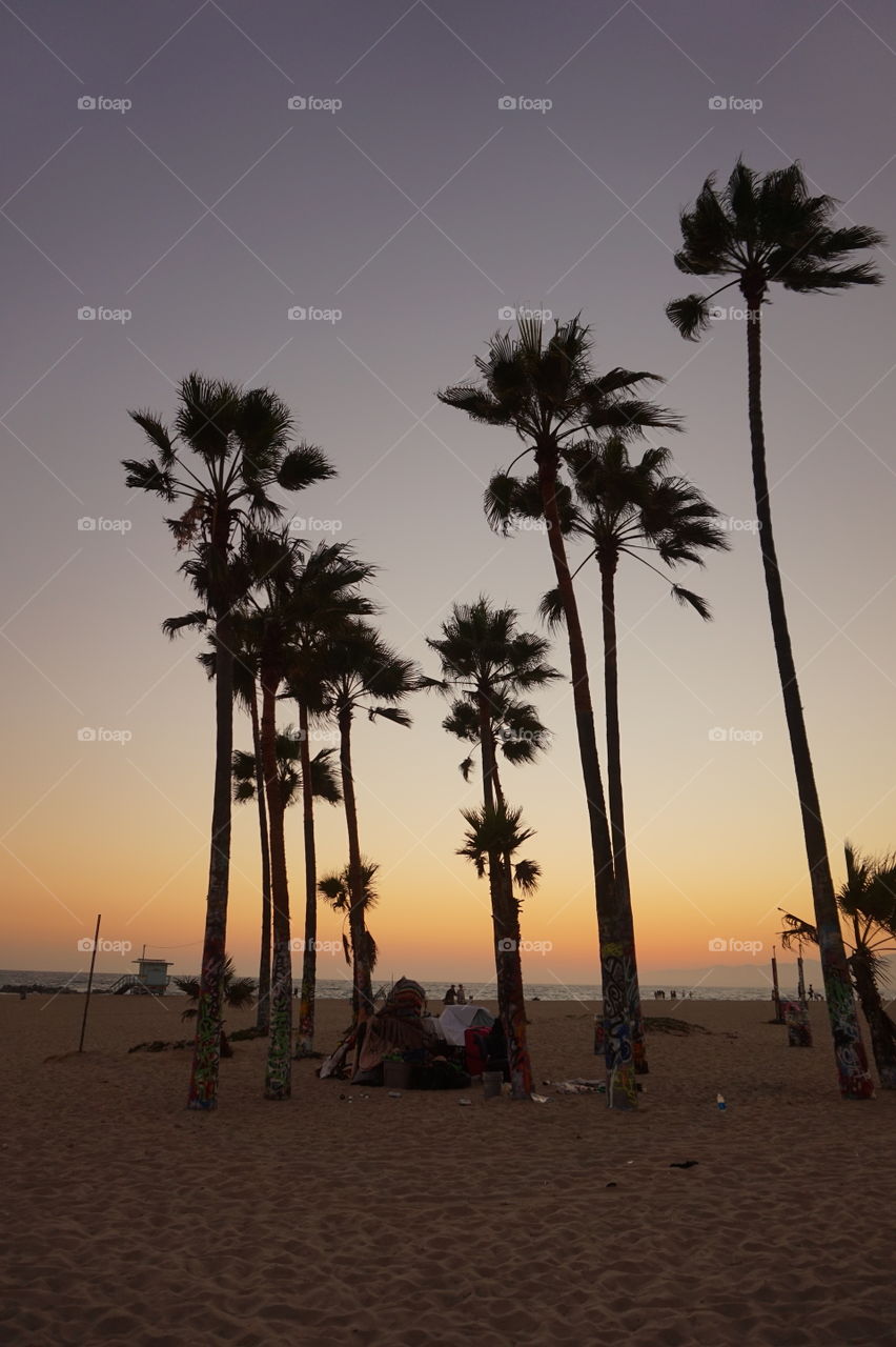 sunset at venice beach