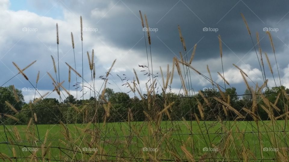 overcast day at work