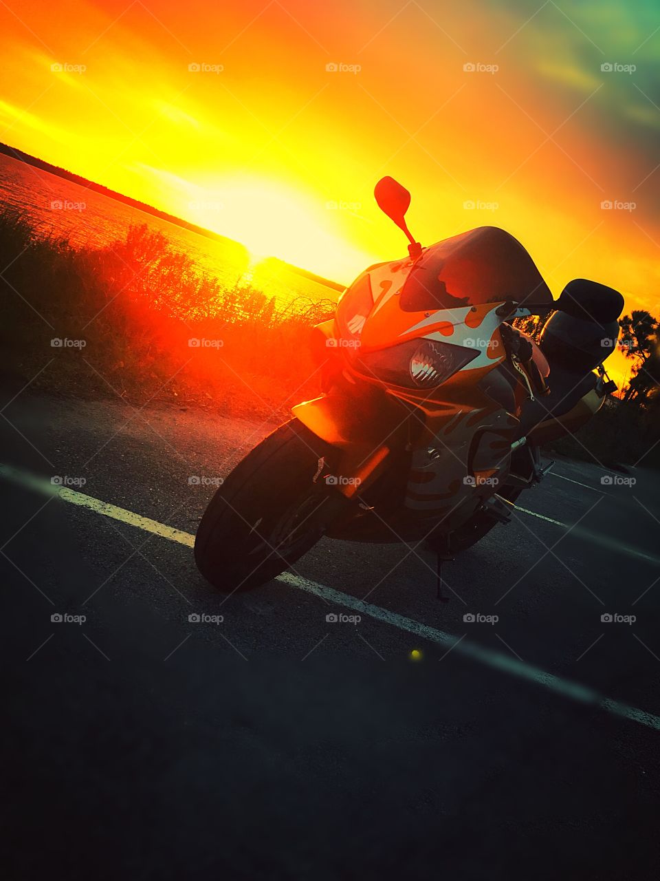 2004 Honda CBR Parked next to river with sunset in background.