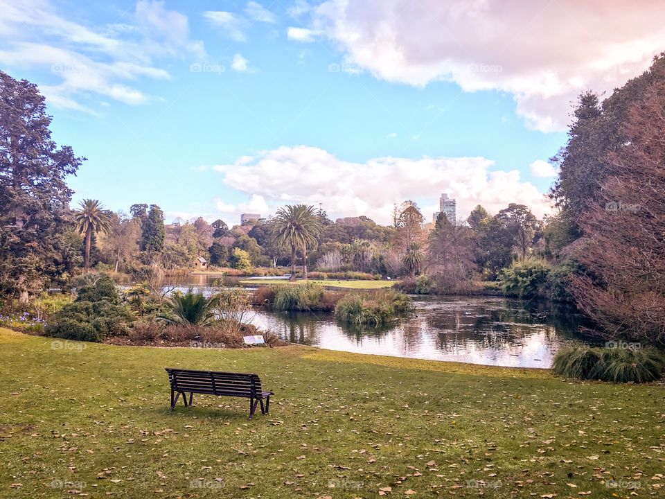 Lake in Royal botanical garden 