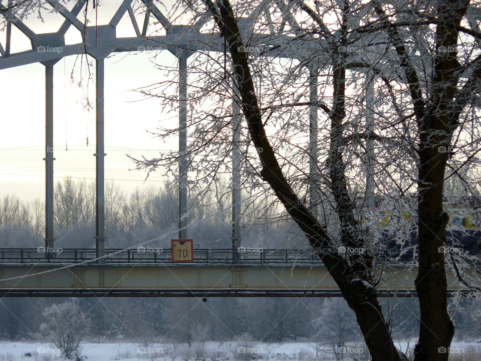 Bare tree against bridge during winter in Riga, Latvia.