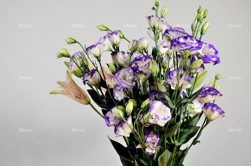 Lisianthus Flower