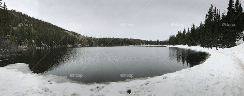 Frozen, pond
