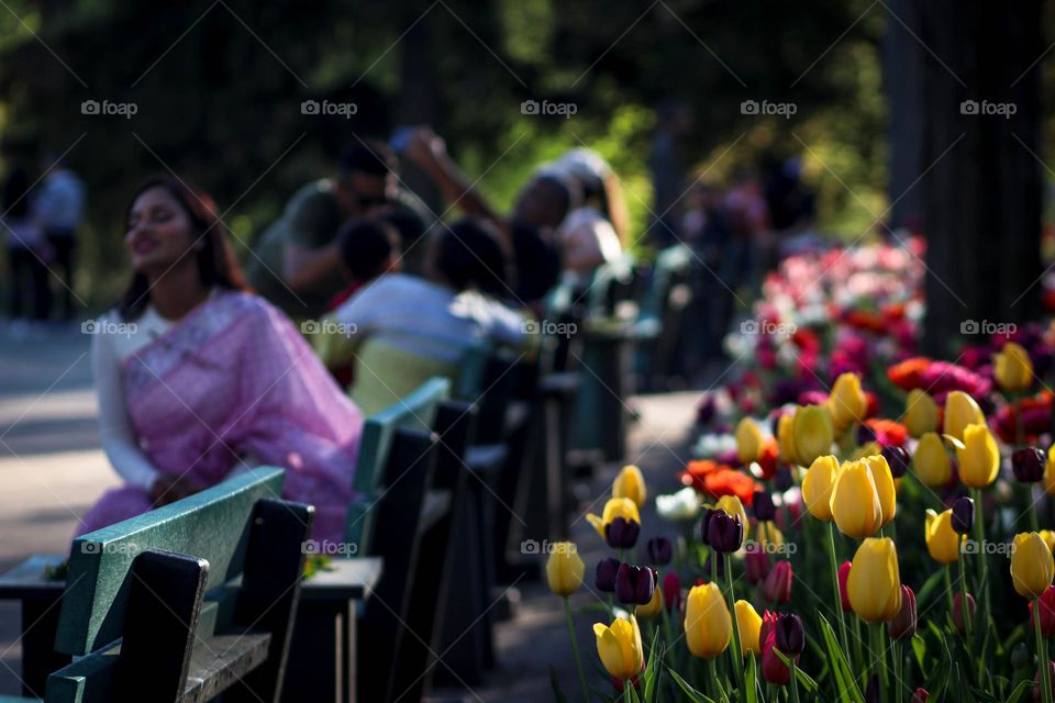 Spring in the city: blooming tulips