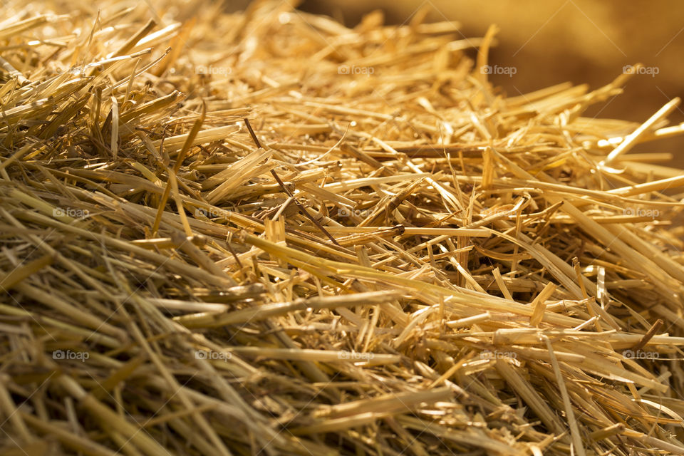 Close up of hay stack in sunset light