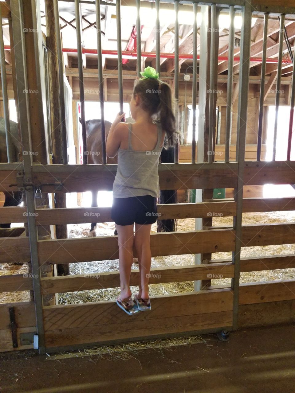 barn fun