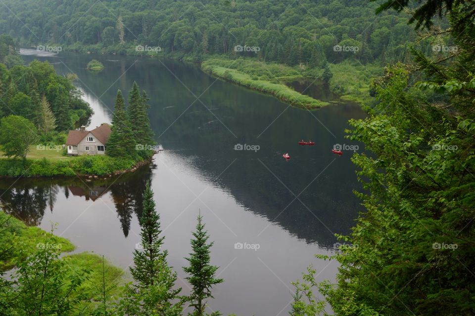 Ouverture sur la forêt du parc de la Jacques Cartier (Québec, Canada)