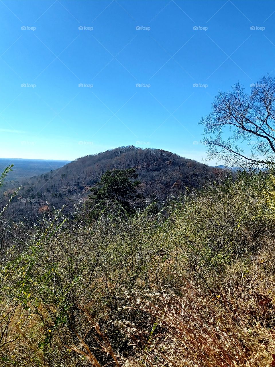 Winter Hike In The South