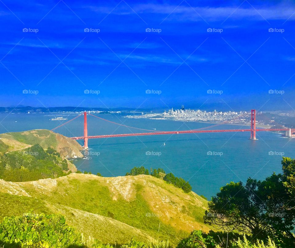 Golden Gate Bridge, San Francisco CA view from Presidio Park the Golden Gate Bridge color is international orange over looking the Bay Area 
