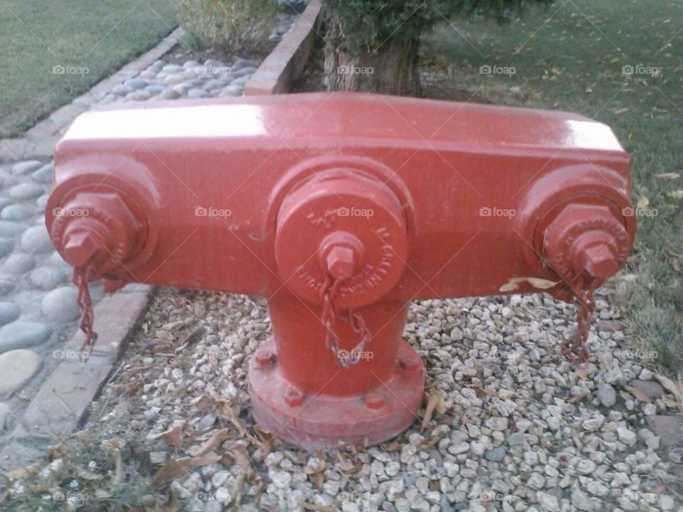 unique red fire hydrant