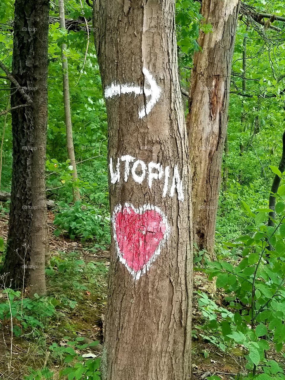 Niagara falls utopia trail