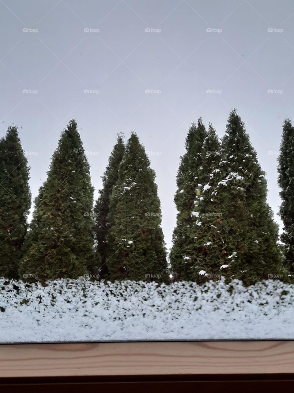 first snow on the window