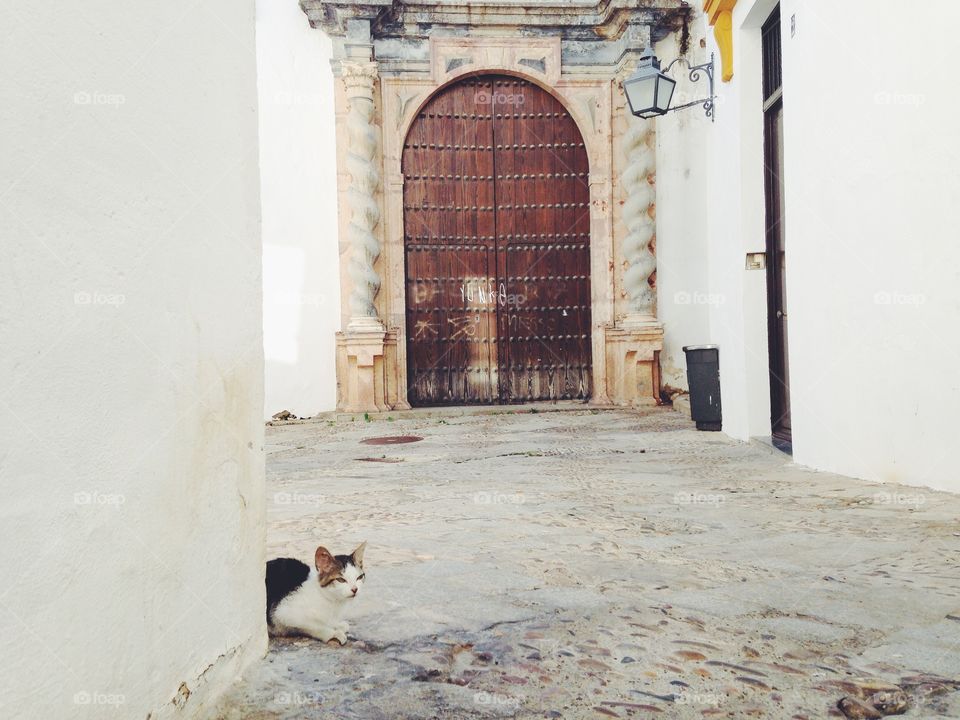 Door, Architecture, No Person, Doorway, Street