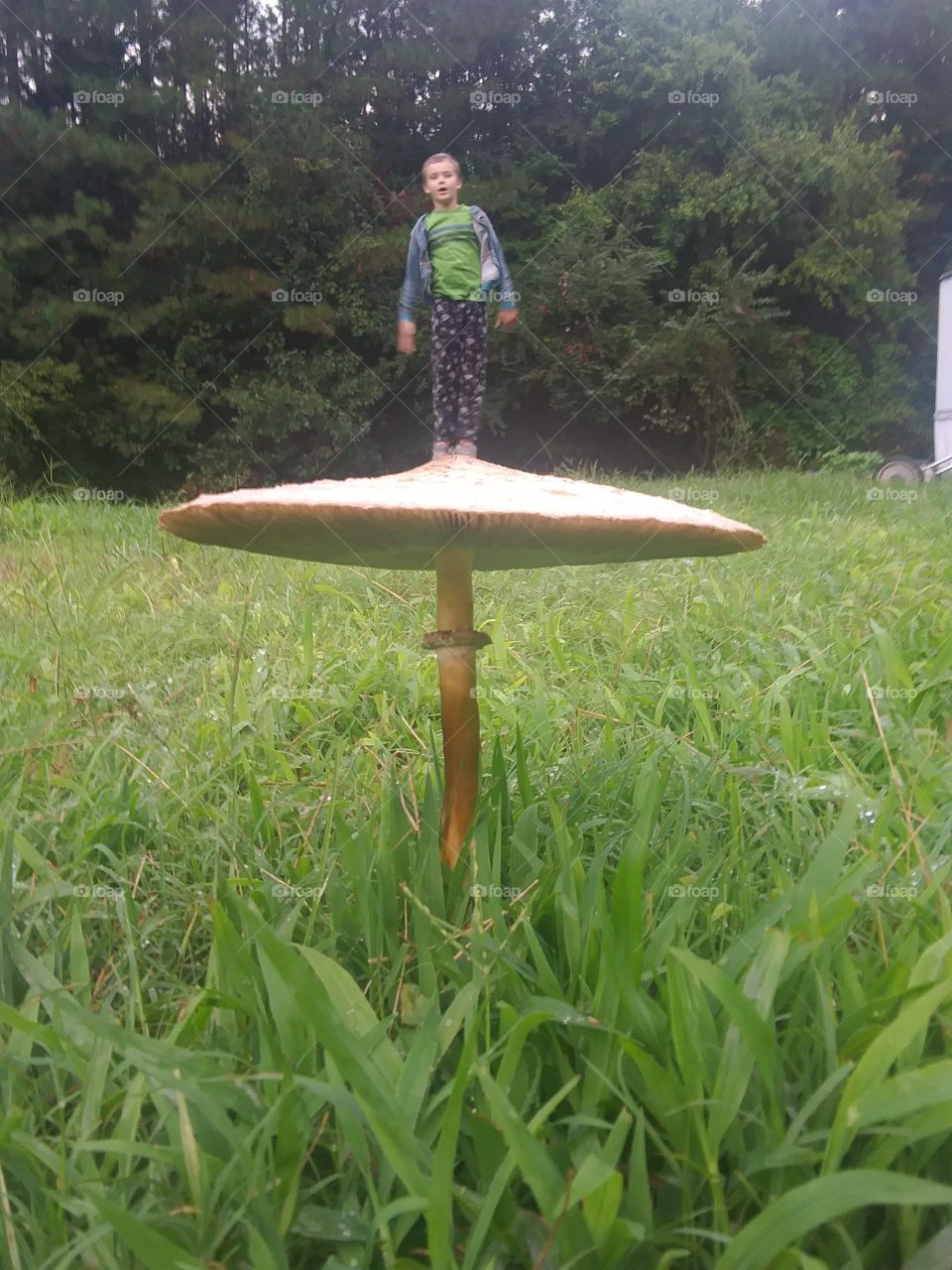 staged standing on mushroom