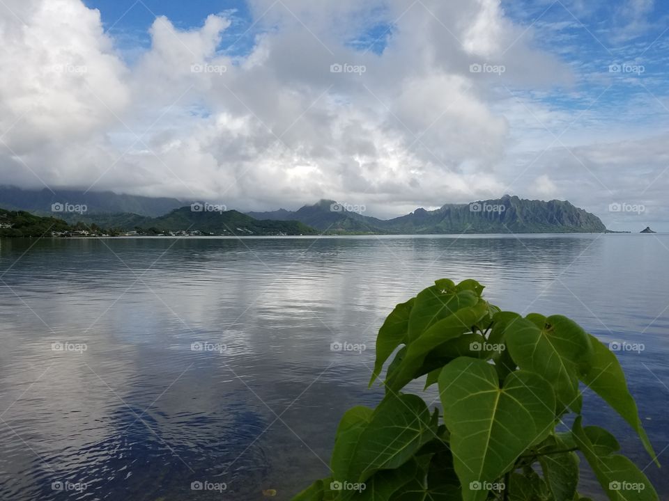 Kaneohe Bay, Oahu