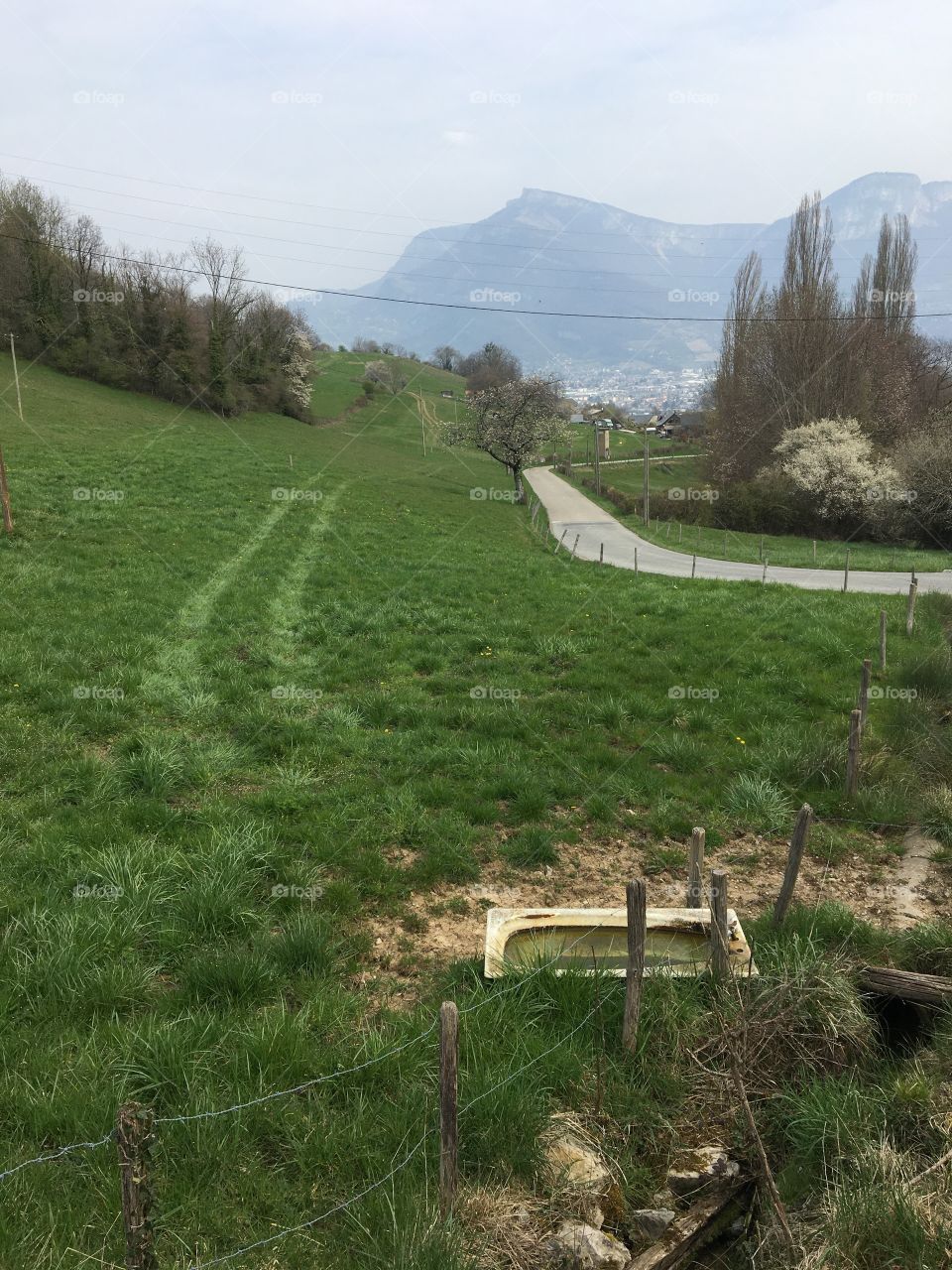 Countryside ready for spring