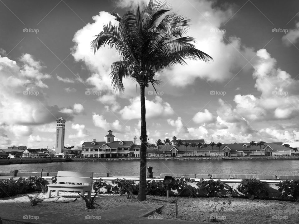Beautiful black and white view in Nassau Bahamas 