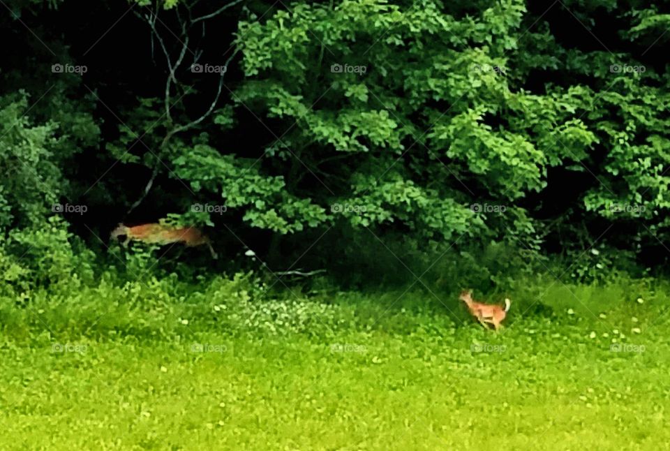 Driving the Back Roads and enjoying everything around us