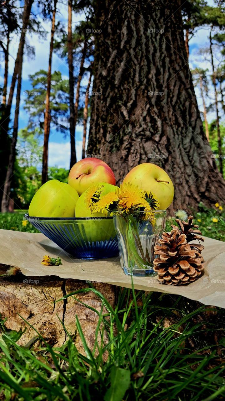 picnic in nature