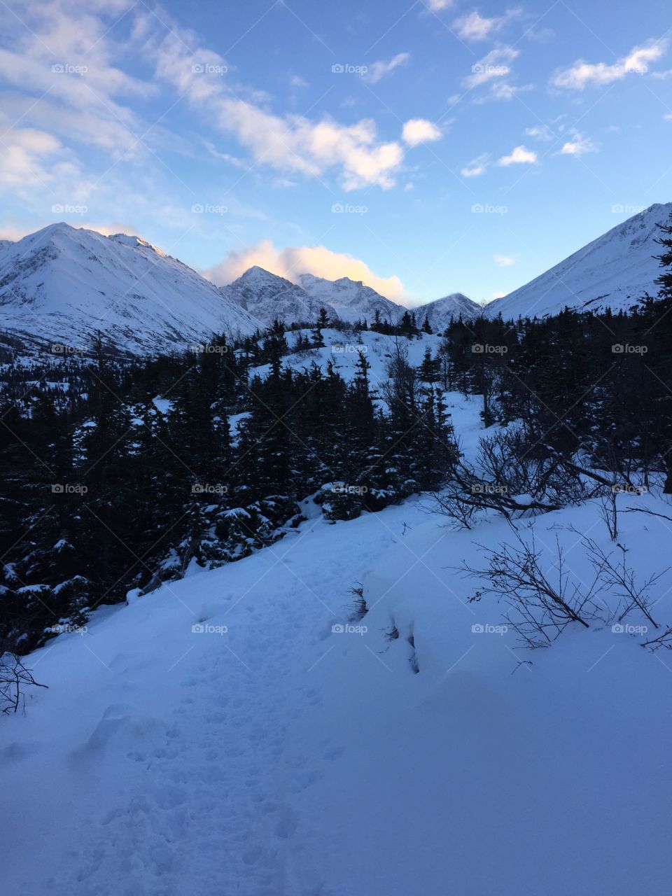 Mountain range in winter