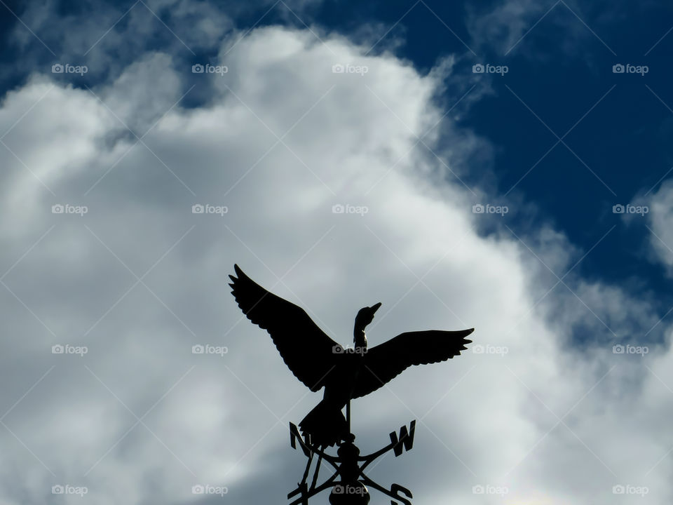 Bird Weathervane Silhouette In The Clouds