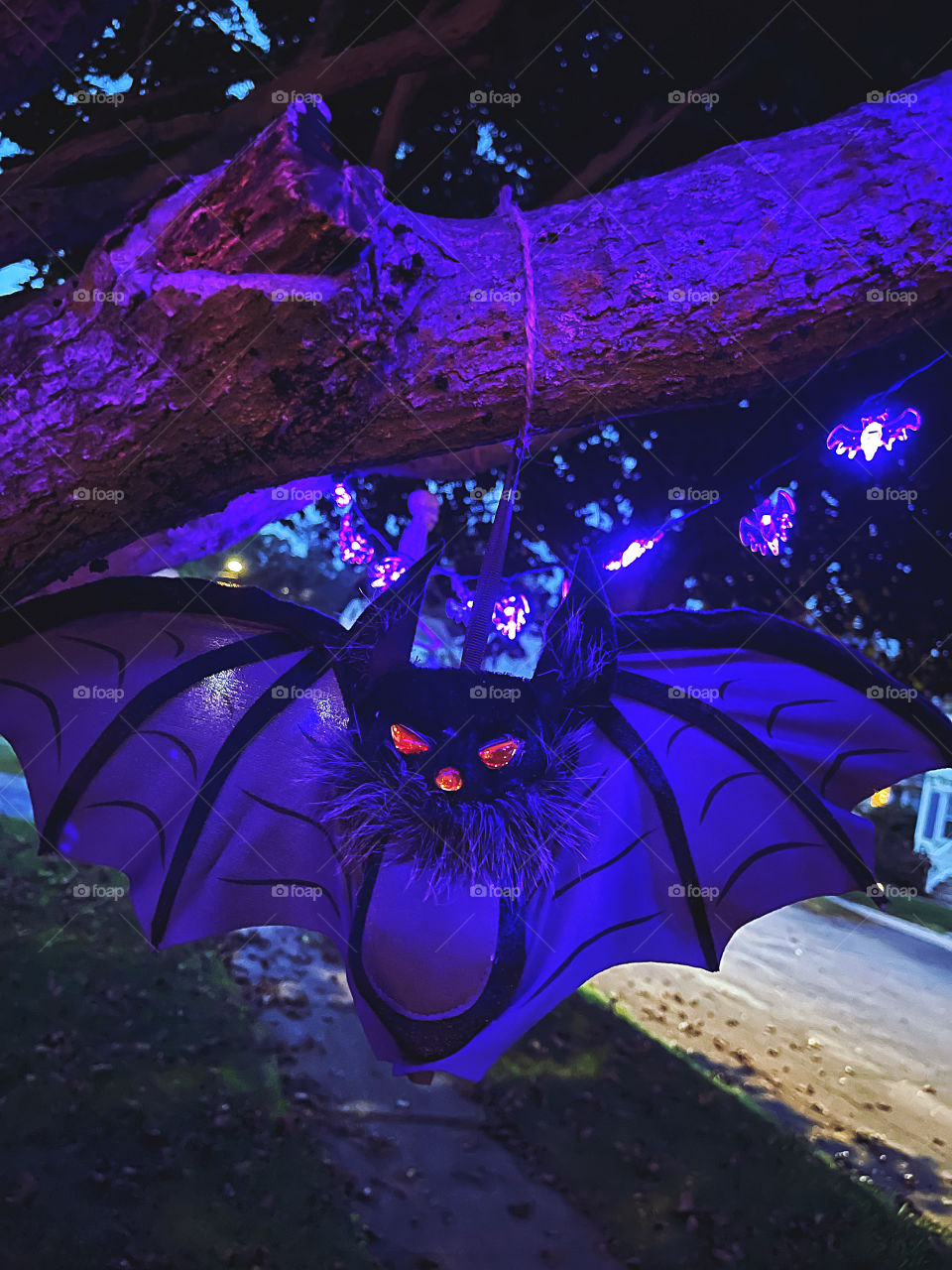 Halloween bat ornament hanging on a tree