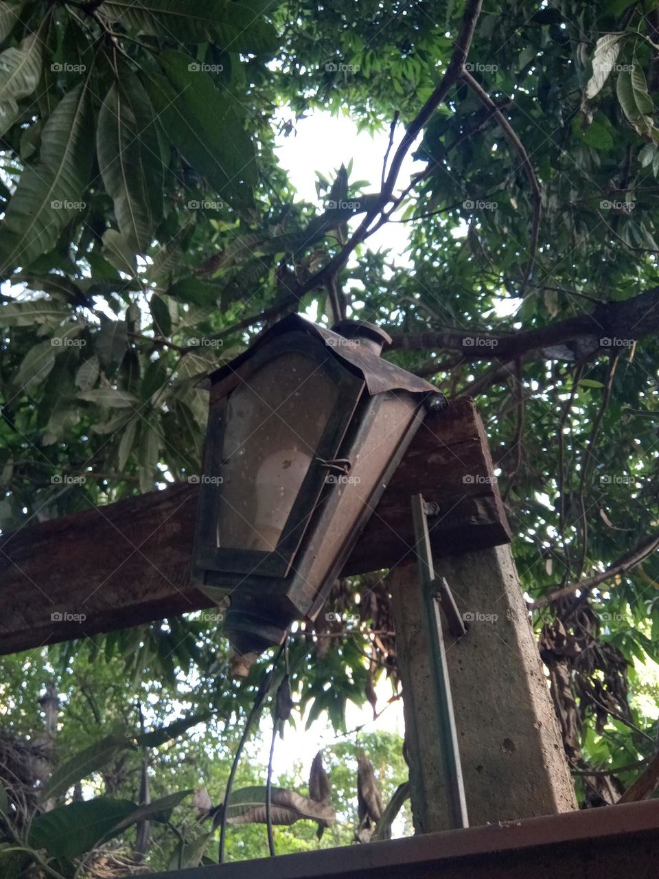 Iluminando la naturaleza!!!