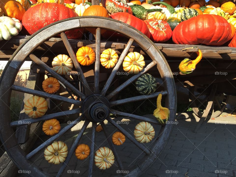 Wheel with pumpkins