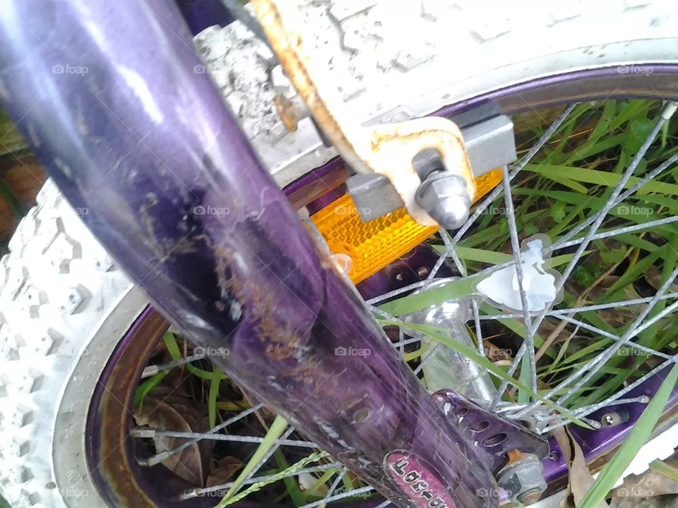 bike