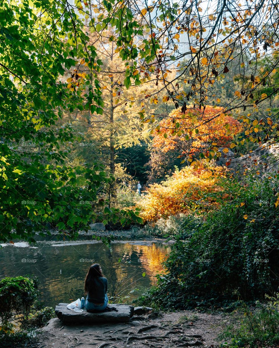 Fall in Central Park