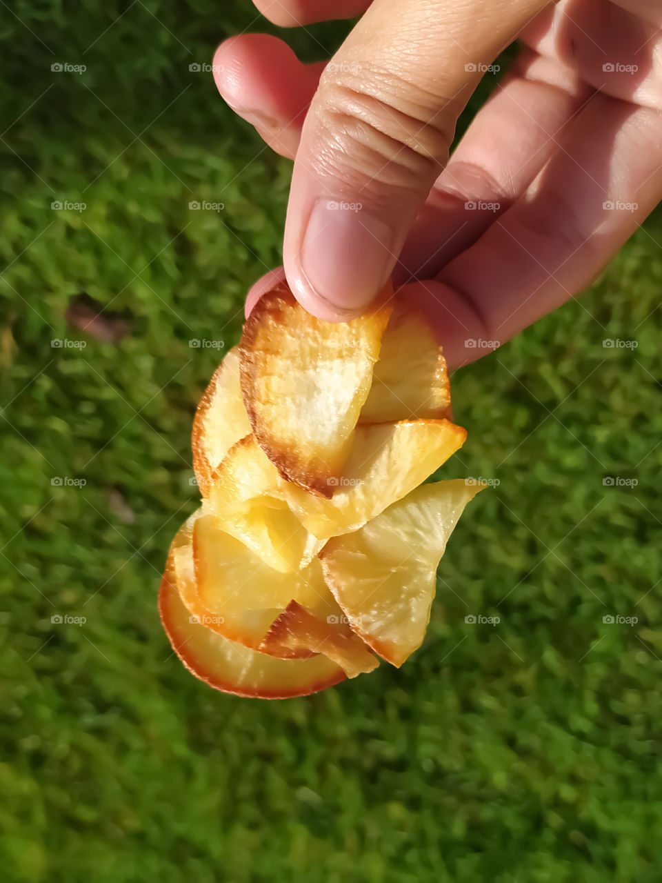 Cassava chips with green background