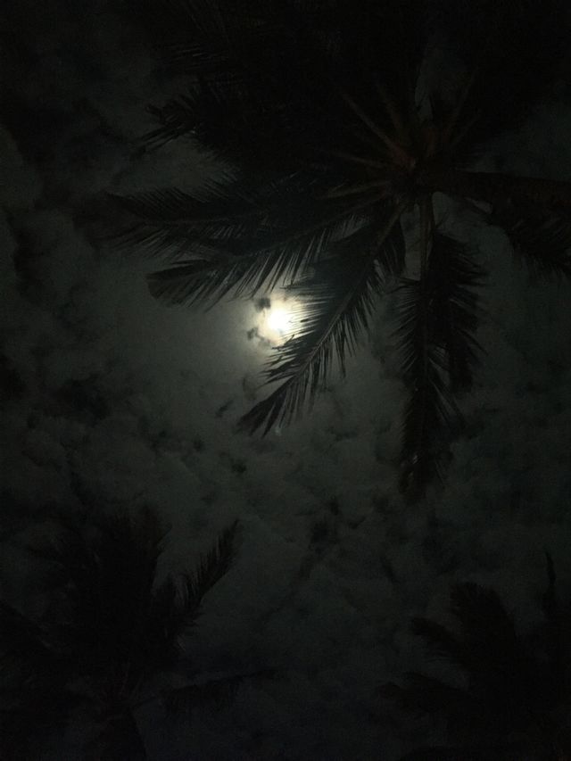 Mombasa night sky