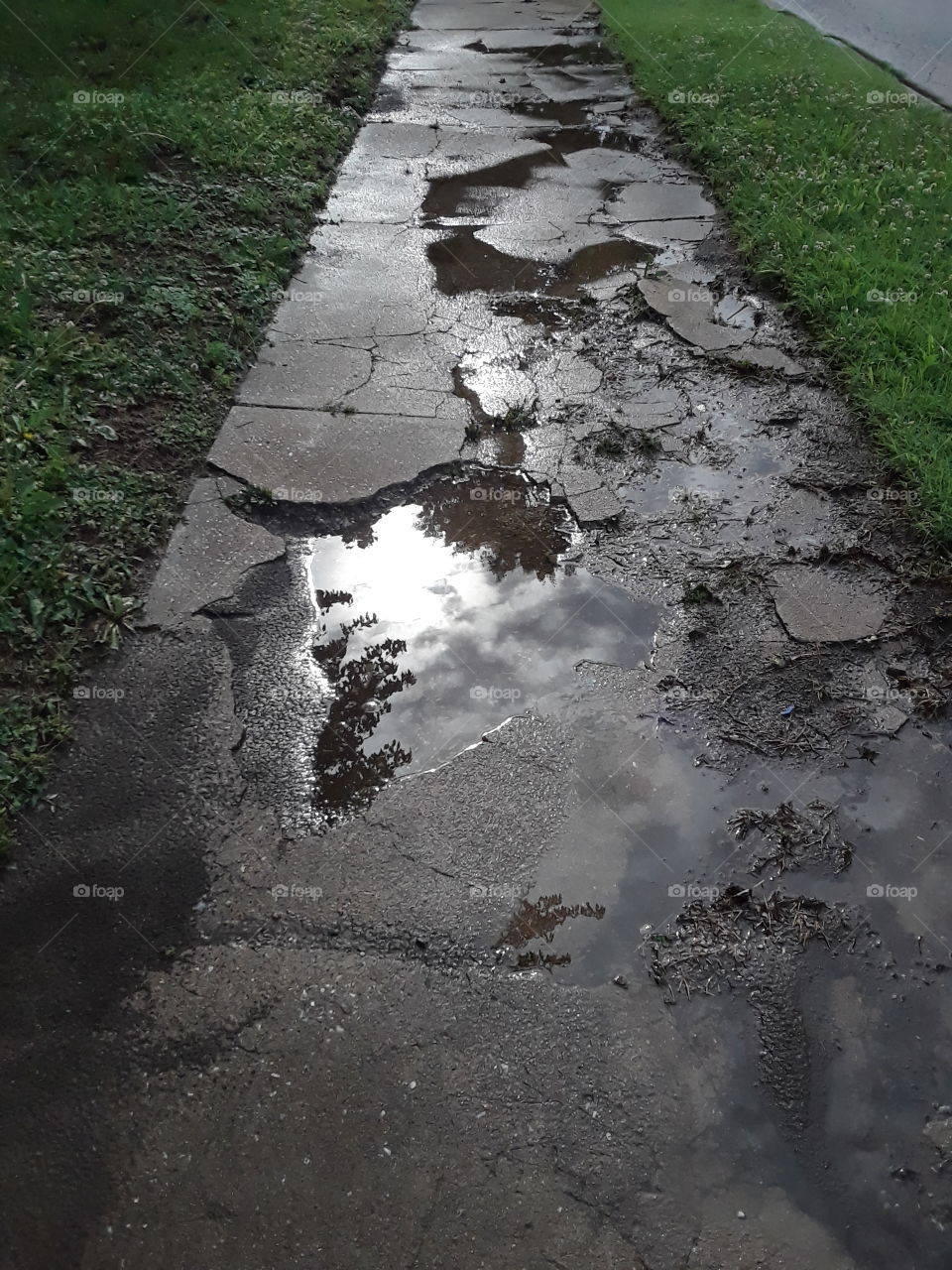 broken sidewalk after rain reflecting the sky