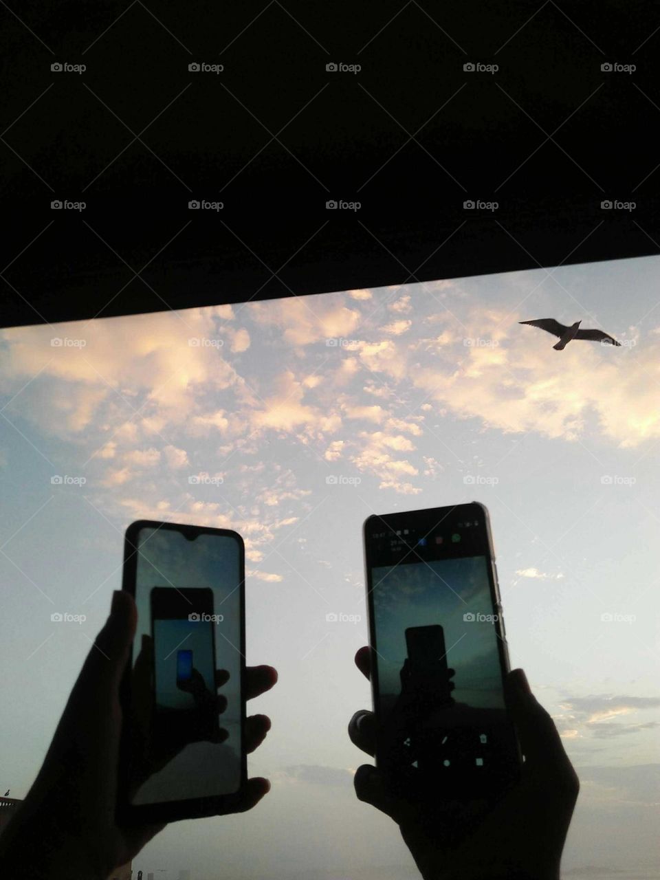 Two phones taking photos