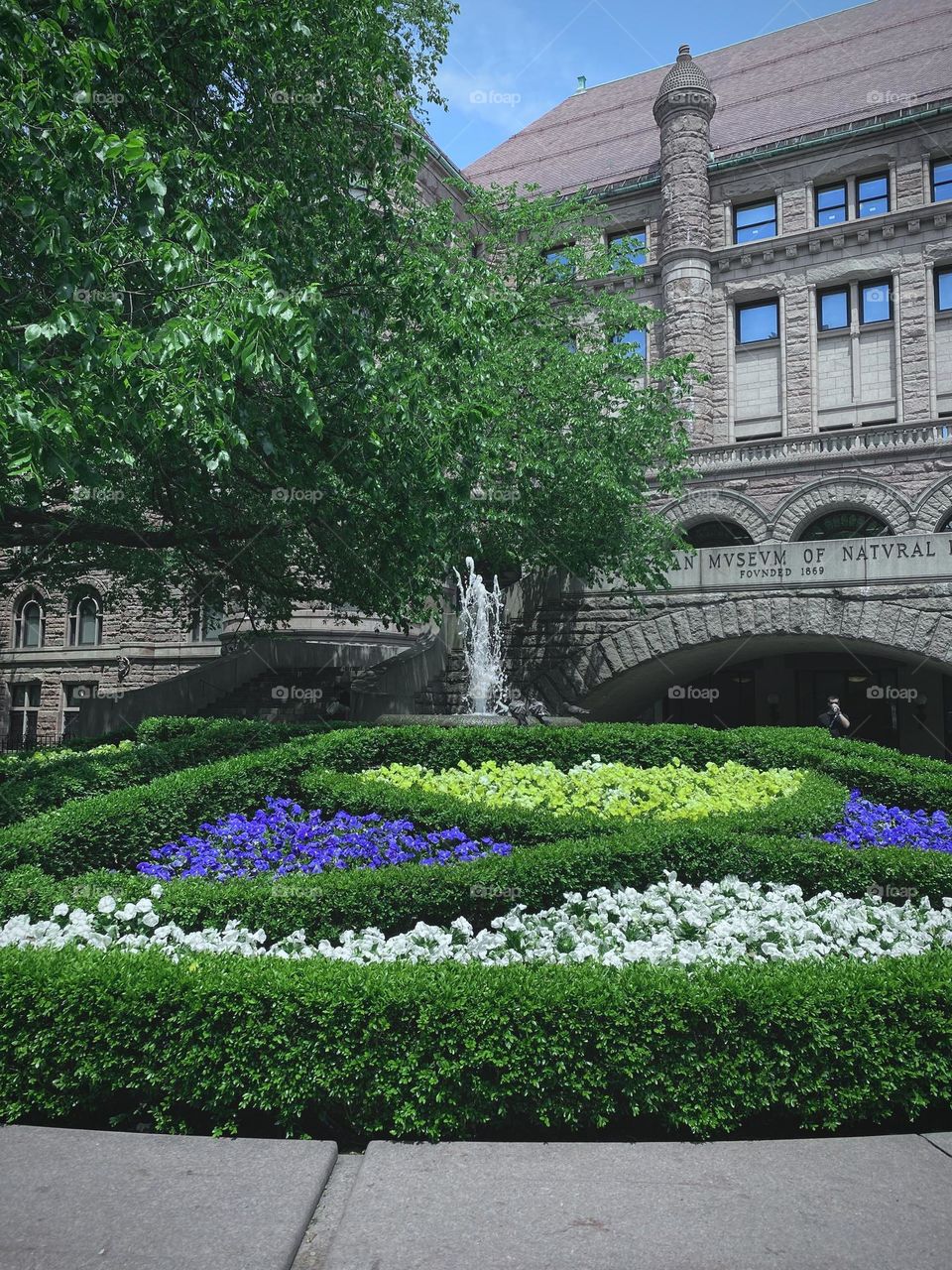 Landscape plants, pigeons, with a man standing drinking coffee and woman sitting on the stairs. At the American Museum of Natural History Manhattan New York.