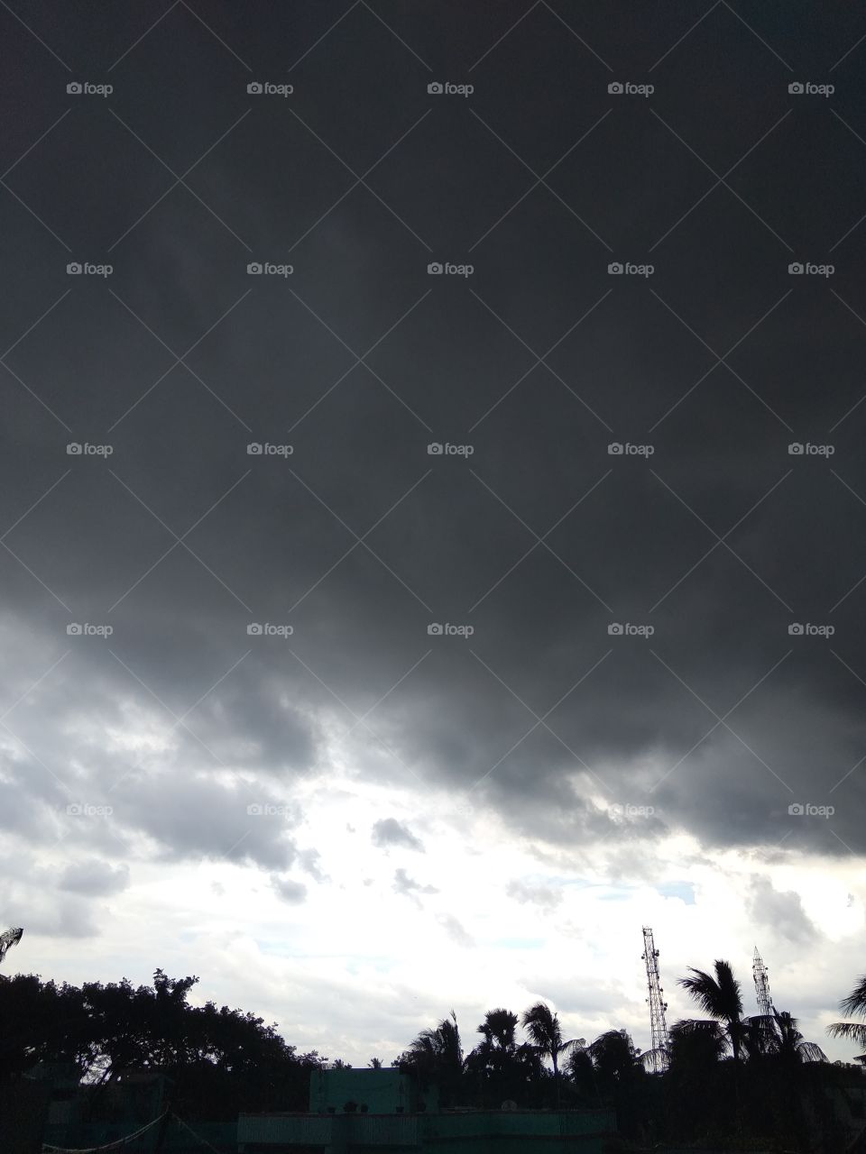 Rainy Days with nature