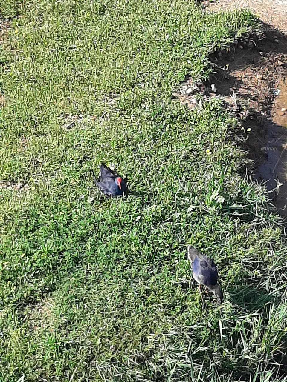 tomando sol