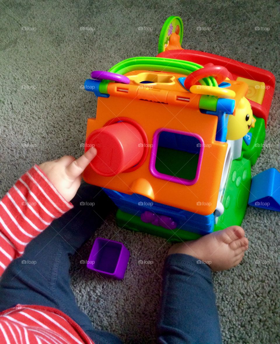 Learning shapes and colours