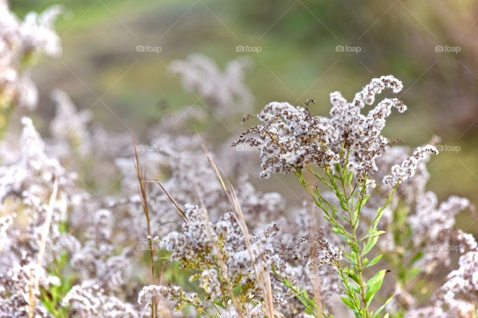 Beauty in Eye of Beholder 